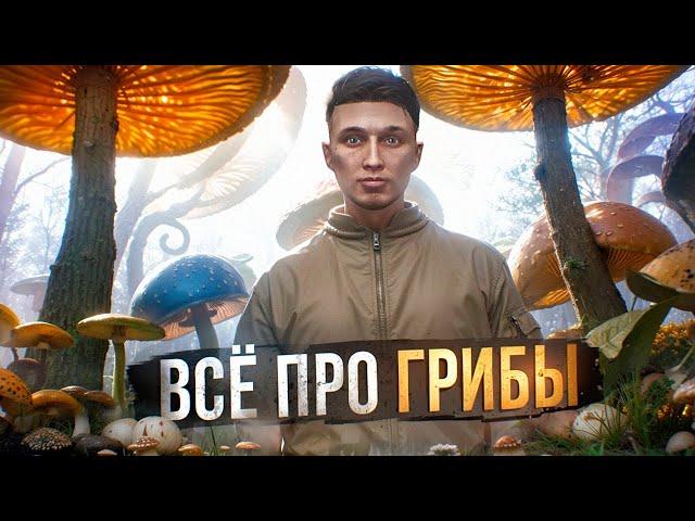 ВСЁ ПРО ГРИБЫ НА ГТА 5 РП МАДЖЕСТИК | 50К В ЧАС | ГАЙД ДЛЯ НОВИЧКОВ | ЗАРАБОТОК | GTA 5 RP MAJESTIC