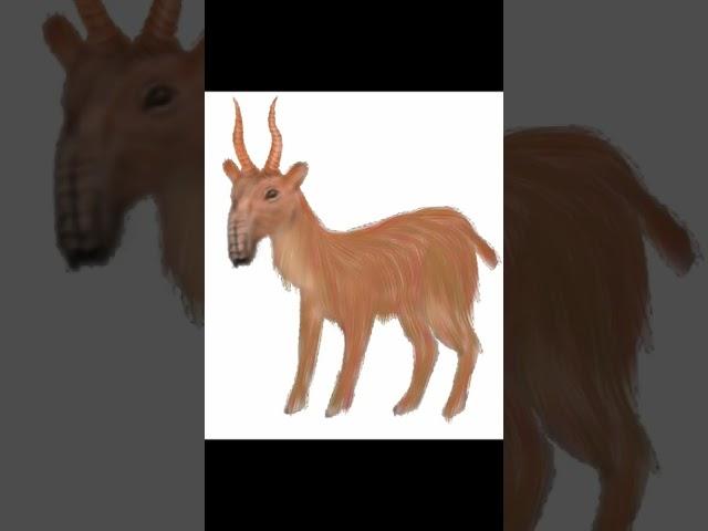 Saiga Antelope | my daily mobile art | dmvid172 | #shorts