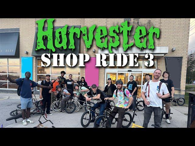 JOLLY BEE SESSIONS-Harvester Shop Ride 3 2024