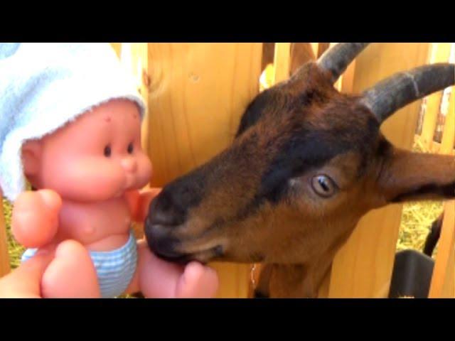 Kirill in the agricultural exhibition. Day 1. Grandmother's Tales.