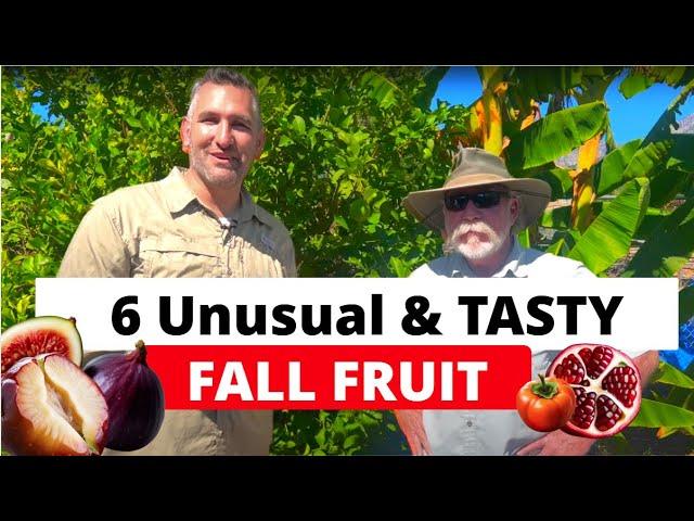 Grow These 6 Unusual Fall Fruits in Your Backyard! | With Fruit Tree Expert: Tom Spellman