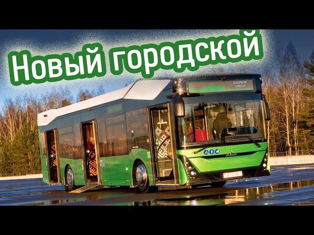 Горб зубра: знакомимся с автобусом МАЗ-303