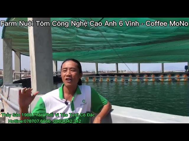 Farm Nuôi Tôm Công Nghệ Cao Anh Sáu Vinh (Coffee MoNo-Ninh Thuận)- Tươi Cô Đặc