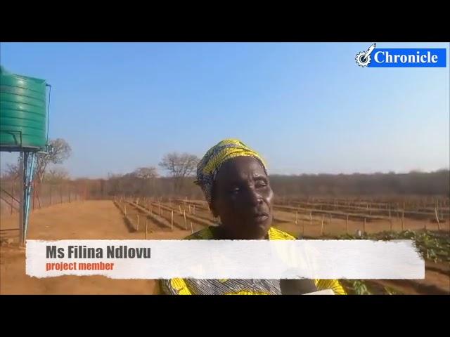 Colonel Miniyothabo Baloyi Chiwenga speaks on the establishment of Mkhayeni Garden in Insiza