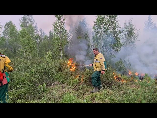 Лесные пожары Якутии 2021. Как федеральный резерв отправили в Якутию без инвентаря!