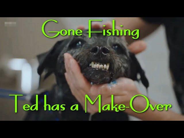 Gone Fishing : Ted Gets a Make Over with Bob Mortimer and Paul Whitehouse