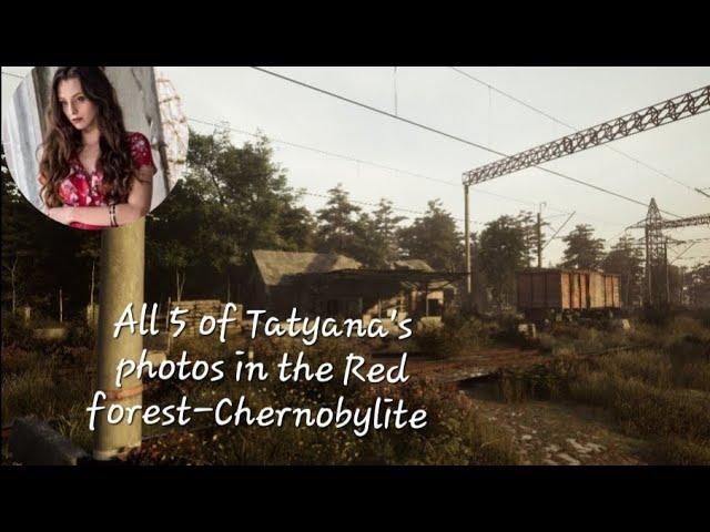 All 5 Red forest Locations of Tatyanas photos-Chernobylite️