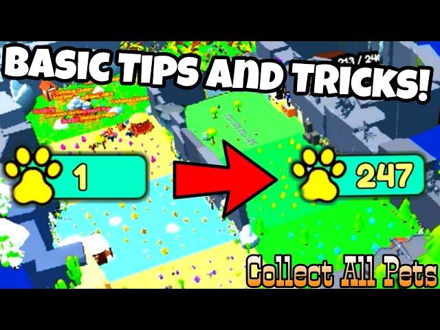 BASIC TIPS AND TRICK FOR COLLECT ALL PETS!  | Roblox Collect All Pets!