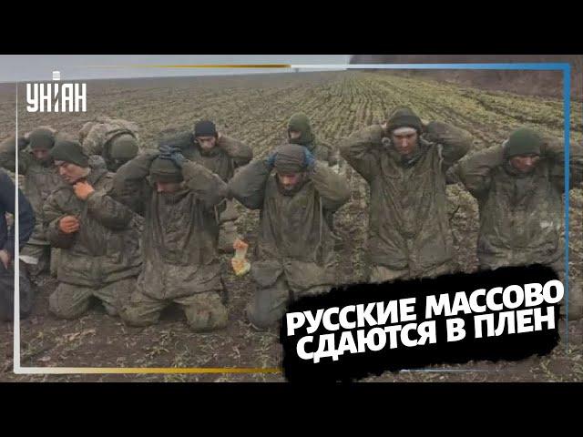 Русские солдаты массово сдаются в плен под Николаевом