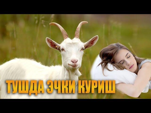 Туш табири - Тушда эчки куриш