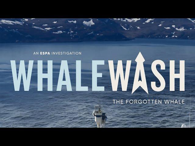 ESPA 2023 one-hour documentary: Whale Wash - The Forgotten Whale 