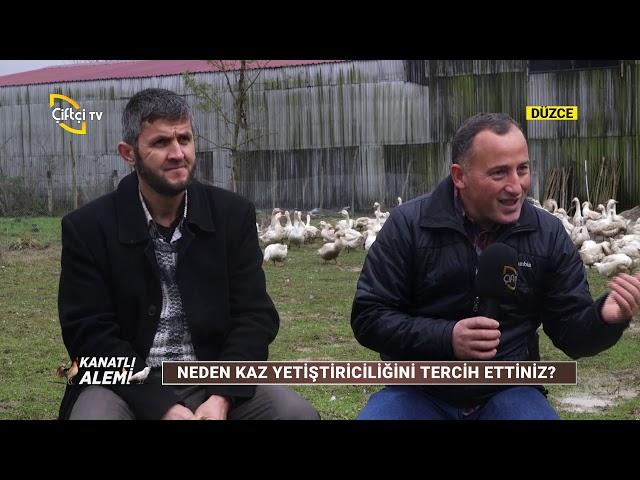 Kaz Yetiştiriciliği ve Önemli Noktaları / KANATLI ALEMİ - Çiftçi TV