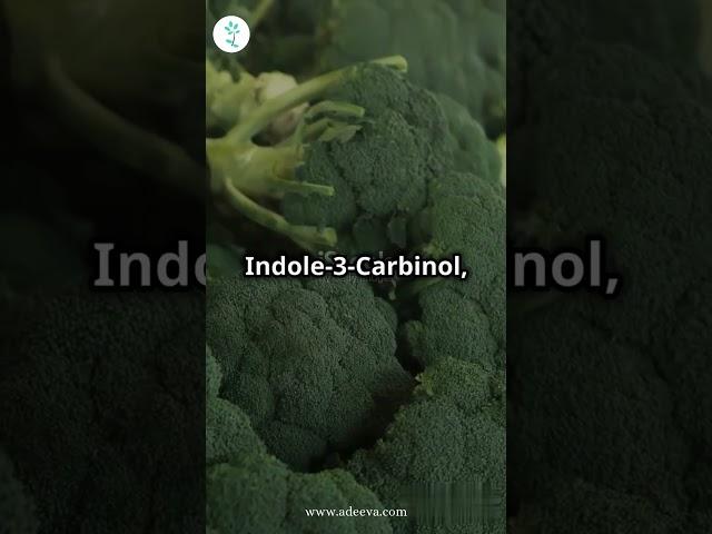 Indole-3-Carbinol: Natural Defense Against Breast & Prostate Cancer  | Cancer | Prostate | Indole