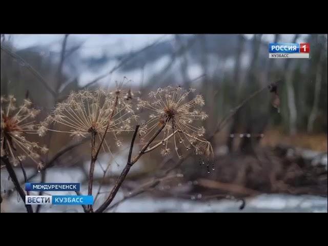 Загремел НА Телевидение))