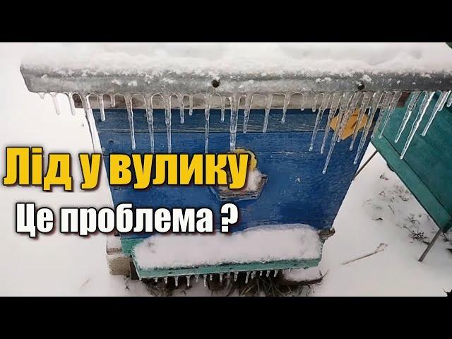 Лід у вулику взимку. Промерзання стінки вулика