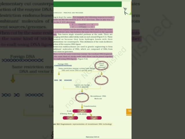 Biotechnology:Principles and Processes#NCERT Highlighted#PYQ#NEET