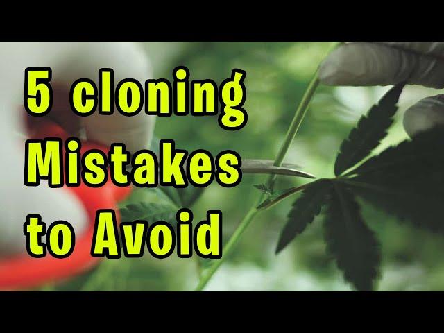 5 Mistakes You Should Avoid When Cloning