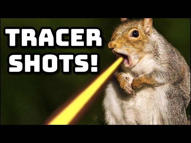 26 Crazy Headshots!! (Squirrels)