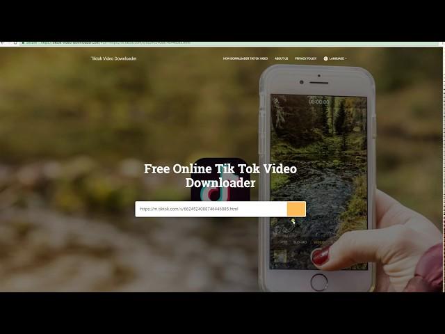 How Free Online Download Tik Tok Video