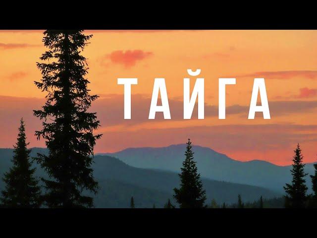 Песня. Тайга. Посвящается бывалым геологам. Евгений Лапердин. Taiga. Eugene Laperdin.