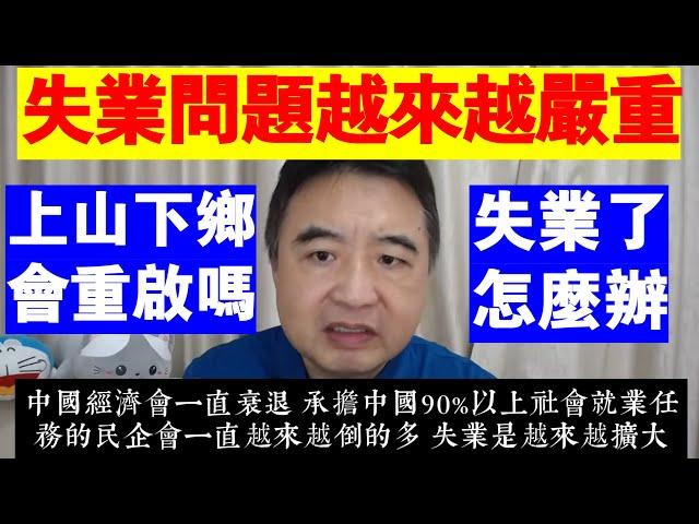 翟山鹰：中國失業問題將越來越嚴重丨年輕人失業會再上山下鄉罵丨普通人失業了怎麼辦