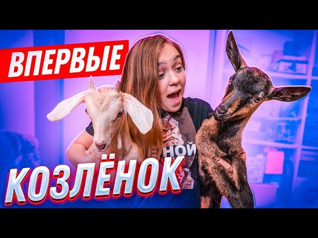 ВПЕРВЫЕ - КОЗЛЯТА ДОМА // UNO - Little Big CHALLENGE