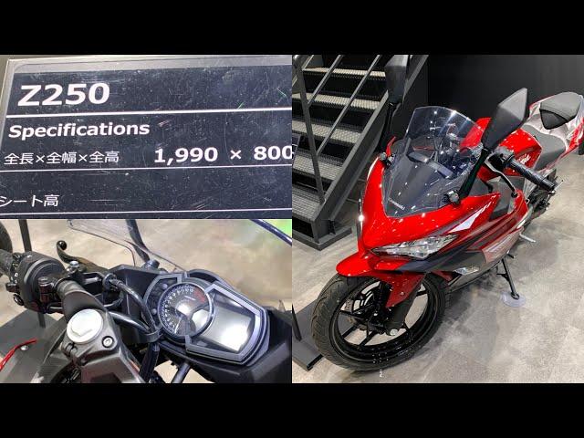 2022 Kawasaki Ninja 250. ABS