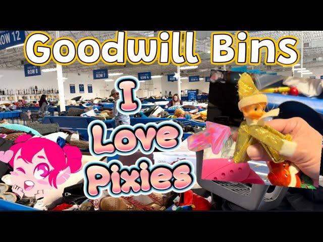 THRIFT WITH ME at the Goodwill Bins | Just A Bunch Of Cute Vintage Finds Today 