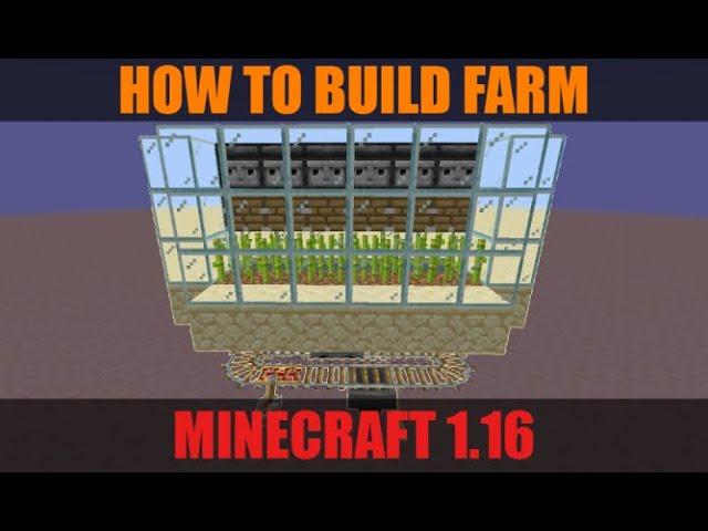 Minecraft | Fully Auto Sugarcane Farm | 2020 1.16