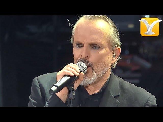 MIGUEL BOSÉ - Gulliver - Festival de Viña del Mar 2018 HD