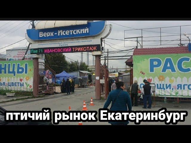 верх-исетский рынок птичий рынок екатеринбург