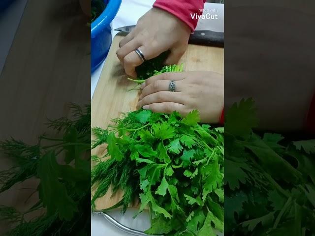 طريقة تخزين خضرة المحشي تعالو شوفو باقي الفيديو على قناتي وادعموني ب لايك واشتراك ️️️️️️️