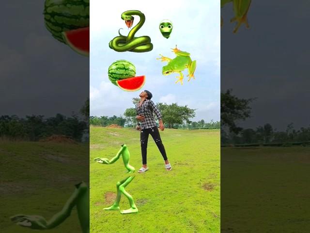 Green Watermelon, frog & snake eating vs green alien making - funny vfx magic video