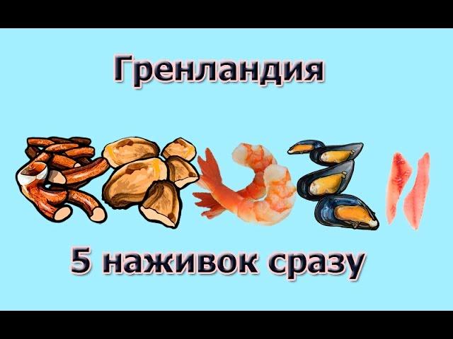 Русская Рыбалка 3.99 Гренландия. 5 наживок в одном месте