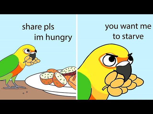 Funny Comics About Parrots Which Illustrated By A Bird Owner