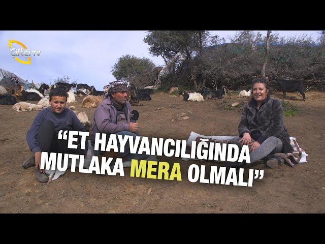 Et Hayvancılığında Mutlaka Mera Olmalı - İşimiz Keçi