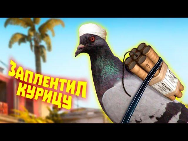 Лютые приколы в играх | WDF 270 | СТРАННЫЕ ПТИЦЫ