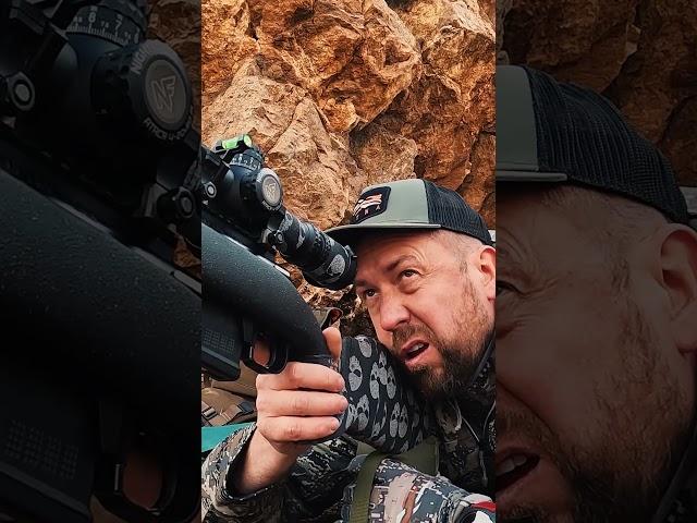 Четко в лопатку!  Выстрел на 550 м. Охота в Марокко на Гривистого барана.  #samsonovhunter #hunting