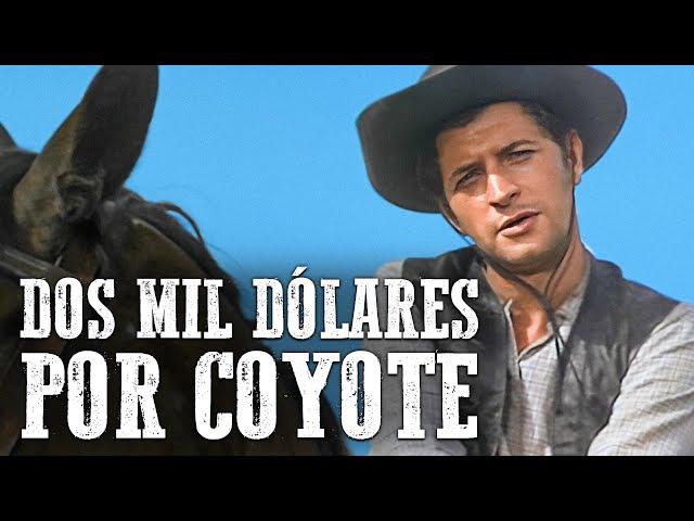 Dos mil dólares por Coyote | Película del oeste | Español