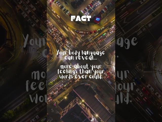 SEE IF YOU ARE CURIOUS 2 #curious   #chronicles   #facts