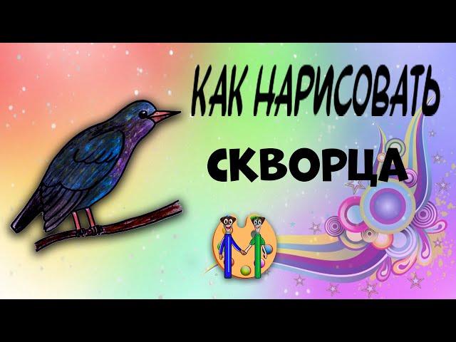 Как нарисовать скворца. Онлайн-школа рисования "Малевашки"