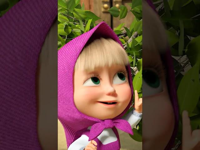 Маша отправляется в полёт! #Shorts #машаимедведь #КартонныеСпасатели #MashaandtheBear #новаясерия