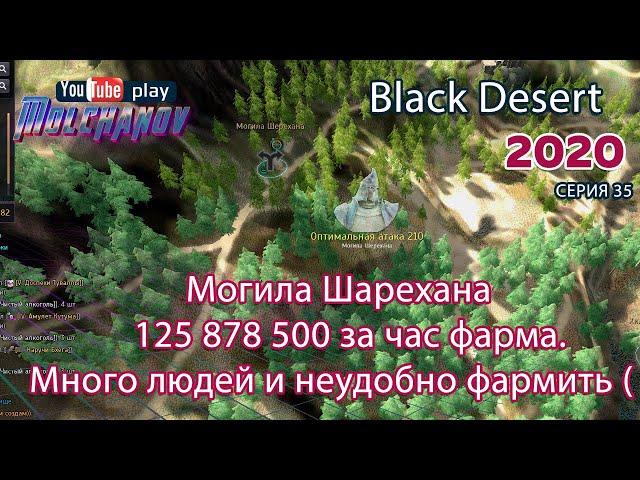 Могила Шарехана. Black Desert Фарм серебра 2020. Пойдет, с натяжкой..