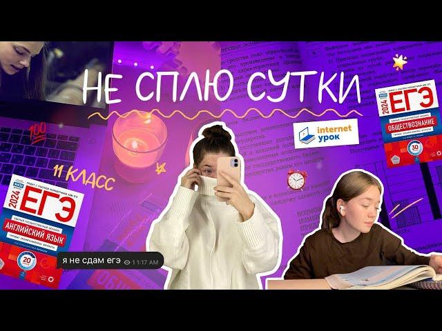 study vlog // учусь всю ночь, егэ, домашнее обучение 