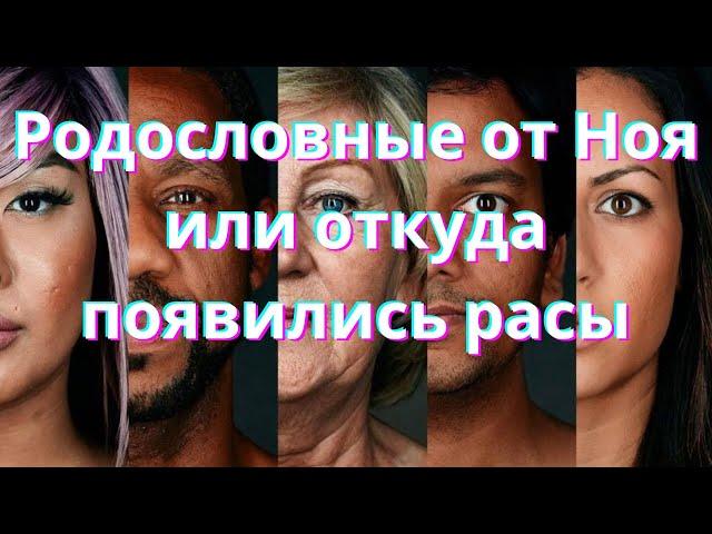 Родословные от Ноя или откуда появились расы - от Ноя до Авраама (#1)