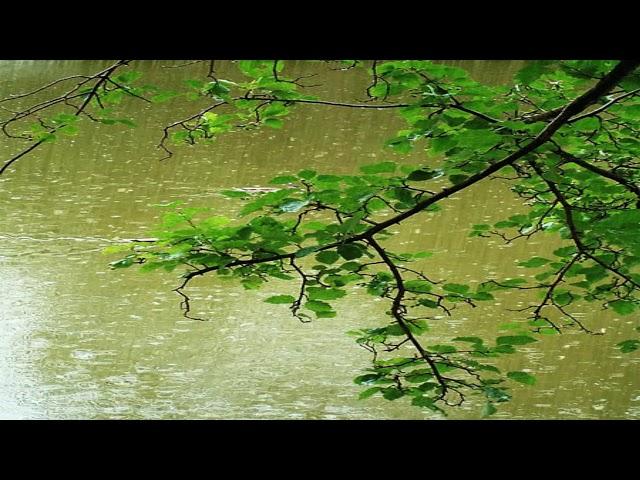 10 hours of beautiful relaxing rain for sleep - relaxing rain - relaxing rain