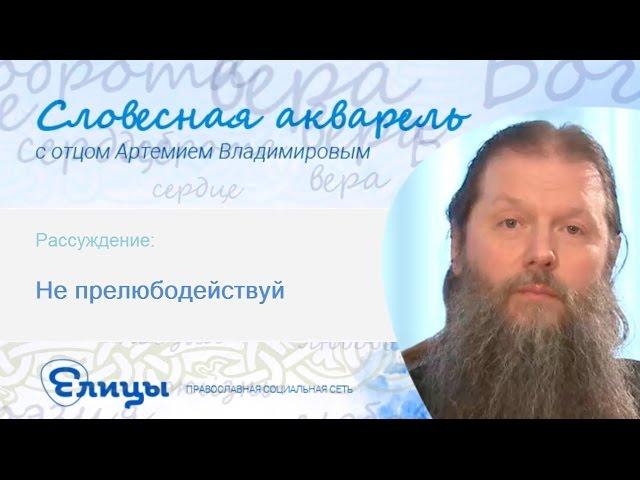 "Не прелюбодействуй" - 7-ая заповедь. Прот. Артемий Владимиров. Словесная Акварель