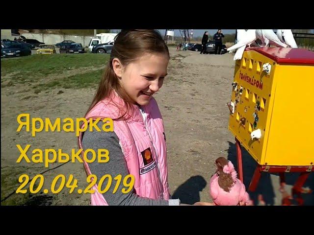 Переносной голубидром Ярмарка Харьков 20.04.2019