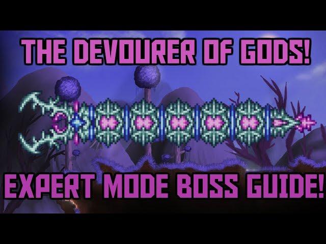 How to Beat the Devourer of Gods in Terraria! -Expert Mode Calamity Mod Boss Guide!