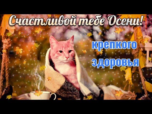 Песня про осень  / song about autumn !